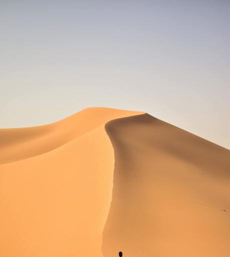 Algeria overview