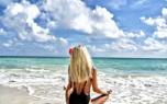 Conch shells