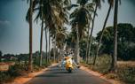 Kerala Backwaters