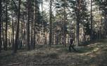 Cesis Old Town