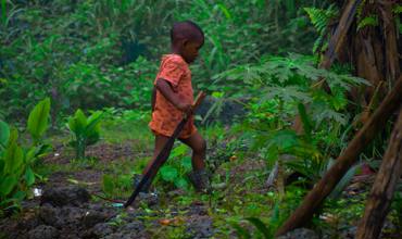 Rural Liberia