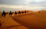 Moroccan rugs