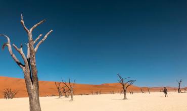 Namib Desert