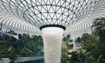 Singapore Botanic Gardens