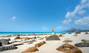 Socotra Island