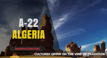 Exploring Algeria's A-22 Highway: A Journey Through Scenic Landscapes