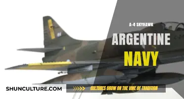 Argentine Navy's A-4 Skyhawk: A Legacy of Strength and Precision