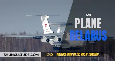 The A-50: Belarus' Eye in the Sky