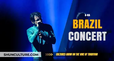 a-ha's Electrifying Brazil Concert: A Night of Nostalgia and Hits