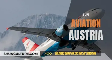 A-Jet Aviation Austria: Soaring to Success and Beyond