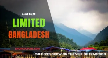 A-One Polar Limited Bangladesh: Innovations, Impact, and Industry Leadership