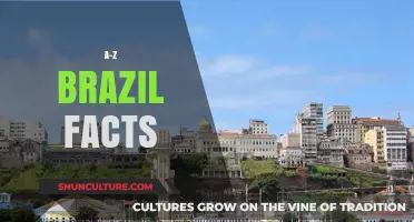 Discover Brazil: A-Z Facts About Culture, Nature, and History