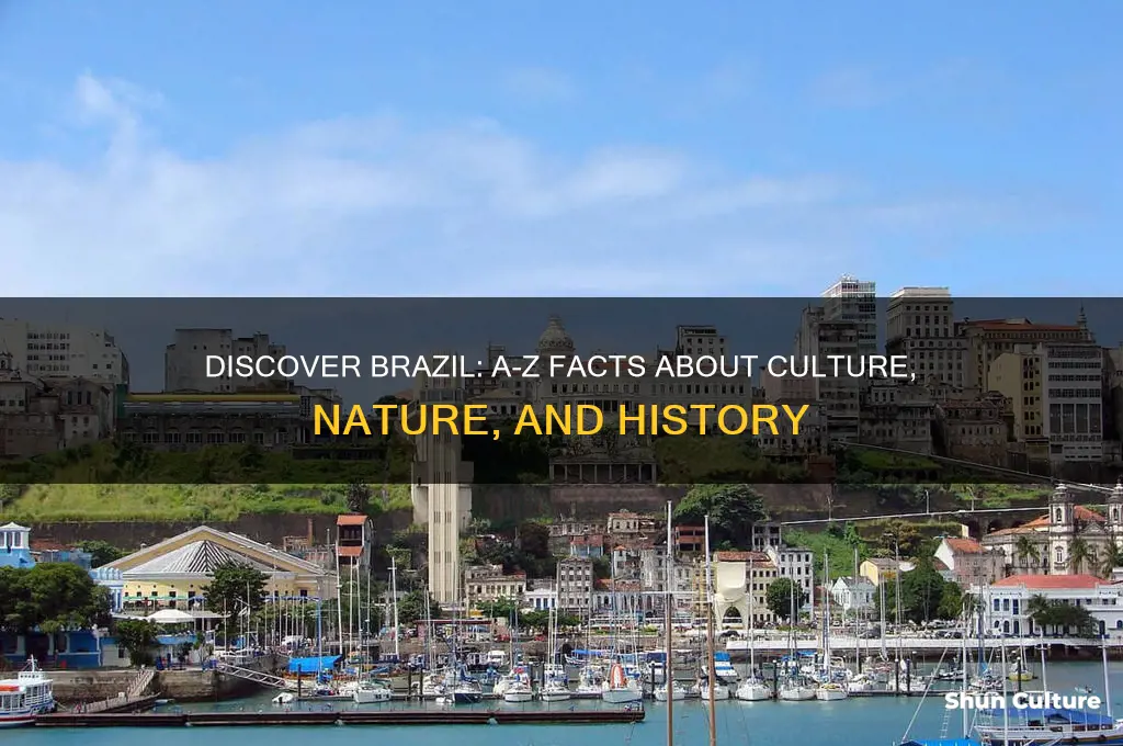 a-z brazil facts