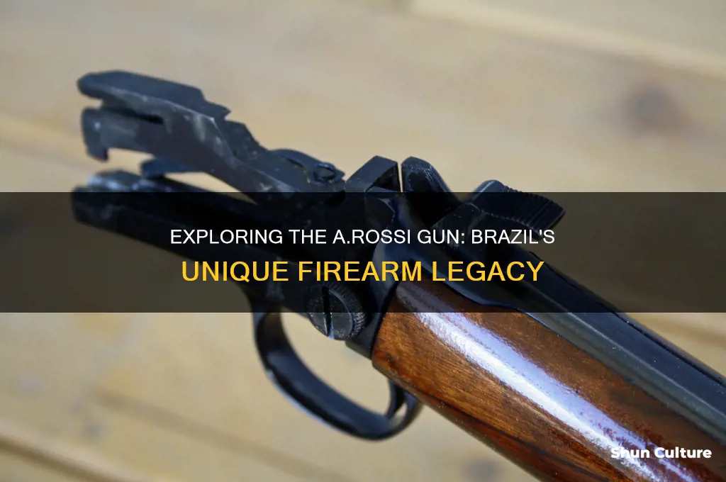 a.rossi gun from brazil
