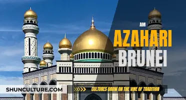 The Life and Legacy of Am Azahari in Brunei