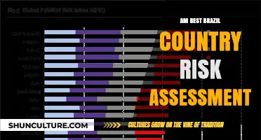 Brazil's Country Risk Assessment: AM Best's Insights and Analysis