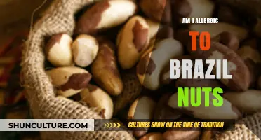 Could Brazil Nuts Be Triggering Your Allergy Symptoms? Find Out