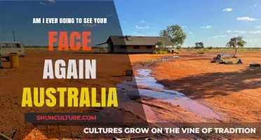 Am I Ever Going to See Your Face Again? Australia's Iconic Anthem Explored