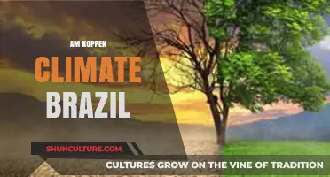 Brazil's Koppen Climate Zones: Understanding Regional Weather Patterns