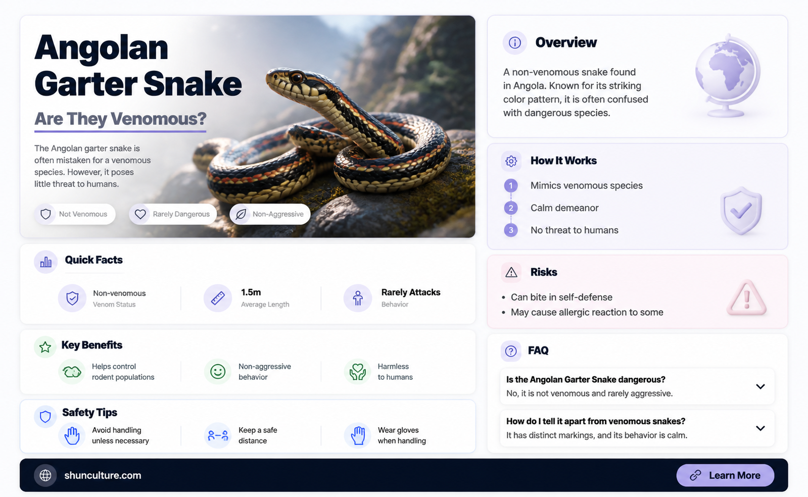 are angolan garter snake venomous