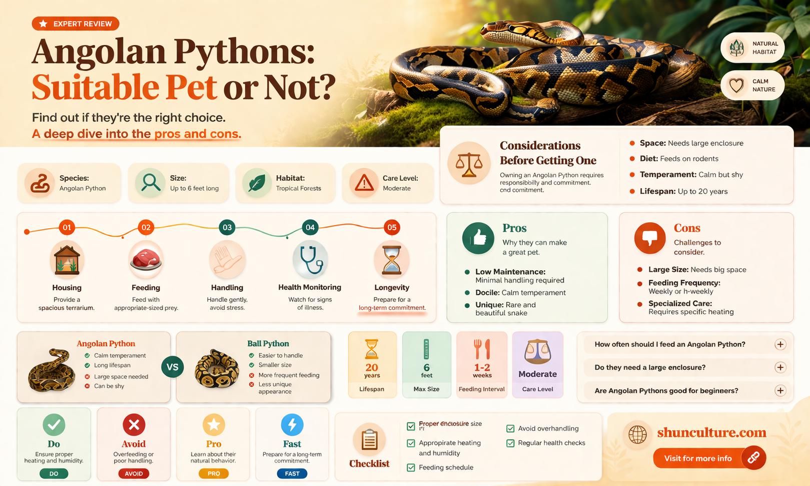 are angolan pythons good pets