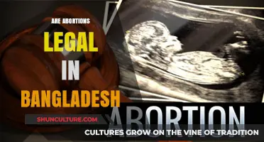 Abortion Laws in Bangladesh: Legal Status and Societal Implications Explained