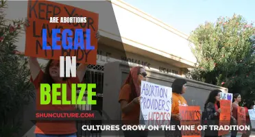 Belize Abortion Laws: What You Need to Know