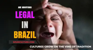 Are Abortions Legal in Brazil? Understanding the Current Laws and Restrictions