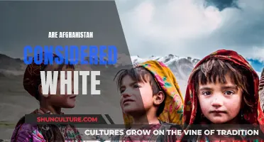 The Complexities of Afghan Identity: Navigating Racial Perceptions and Realities