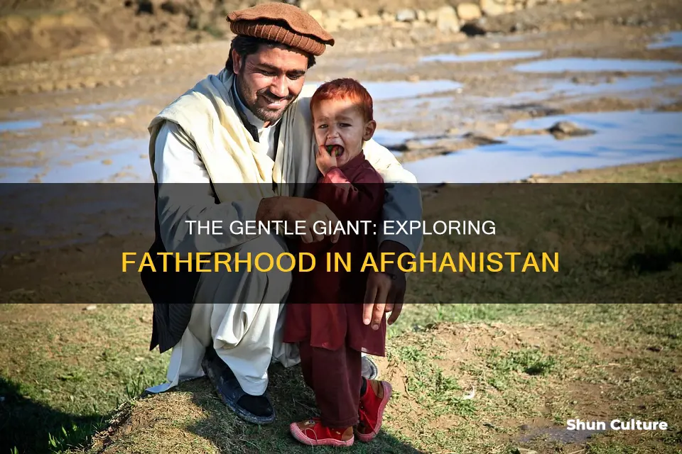 are afghanistan dads nice