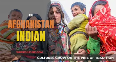 The Complex Cultural Ties Between Afghanistan and India: A Historical Perspective