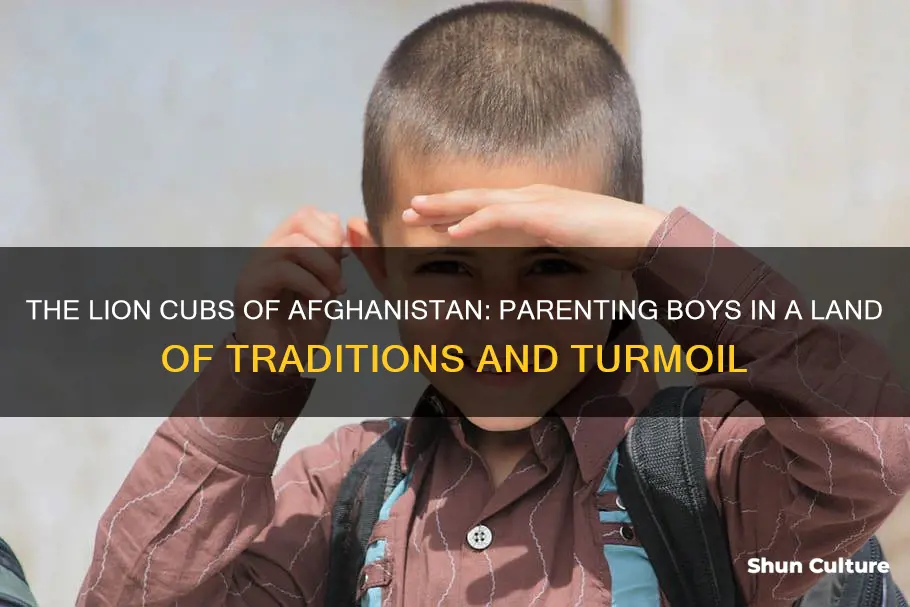 are afghanistan parents raising their boys