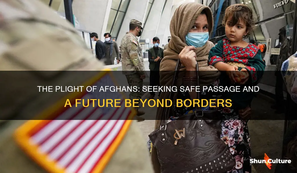 are afghans allowed to leave afghanistan