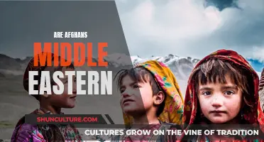 The Complex Identity of Afghans: Exploring Their Cultural and Geographic Affiliation