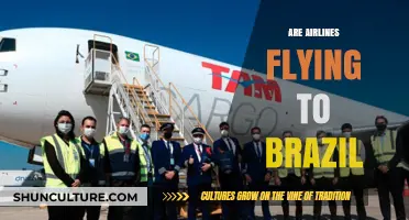 Are Airlines Flying to Brazil? Current Routes and Travel Updates