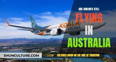 Australian Airlines: Who's Still Flying Amidst the Pandemic?