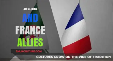 Algeria and France: Allies or Complex Partners in Modern Diplomacy?