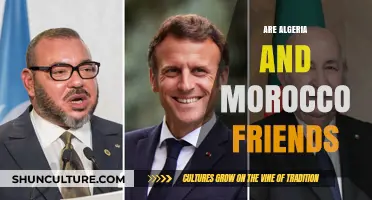 Algeria and Morocco: Allies or Adversaries in North Africa?