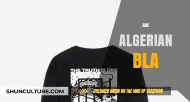 Exploring the Truth: Are Algerian Bla Myths or Misunderstood?