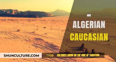 Are Algerians Caucasian? Exploring Ethnicity, Identity, and Cultural Heritage