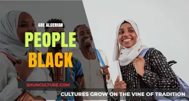 Are Algerian People Black? Exploring Identity, Ethnicity, and Cultural Diversity