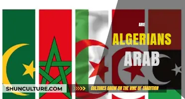 Are Algerians Arab? Exploring Identity, Culture, and Heritage in Algeria