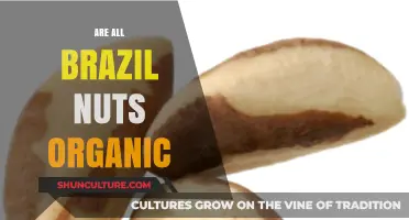 Are All Brazil Nuts Organic? Uncovering the Truth Behind the Label