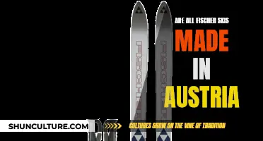 Where Are Fischer Skis Made? Made in Austria?