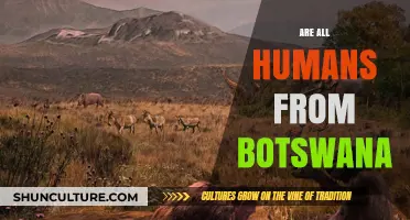 Are All Humans From Botswana? Unraveling the Myth and Facts