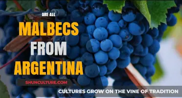 Exploring the Myth: Are All Malbecs Truly from Argentina?