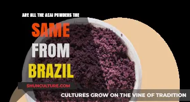 Are All Acai Powders from Brazil the Same? Unveiling the Truth