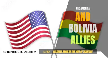 America-Bolivia: Allies or Not?