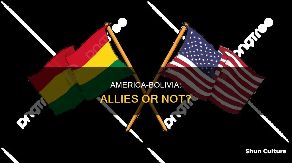 are america and bolivia allies