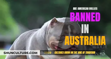 Bullies Banned: American Bullies in Australia